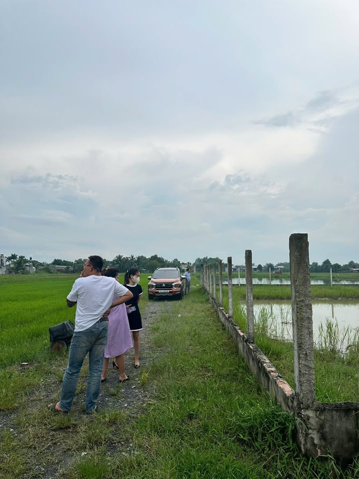 Đất Mỹ Hạnh Bắc, Đức Hòa 1000m² giá 1.45 tỷ - Tiềm năng đầu tư lớn!