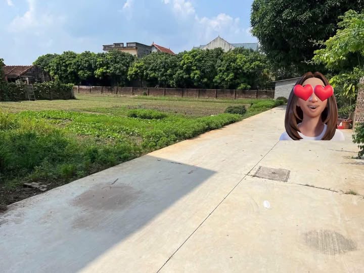 Đất nền 2 mặt tiền Đông Tảo 1000m² - Pháp lý rõ ràng, giá thỏa thuận!