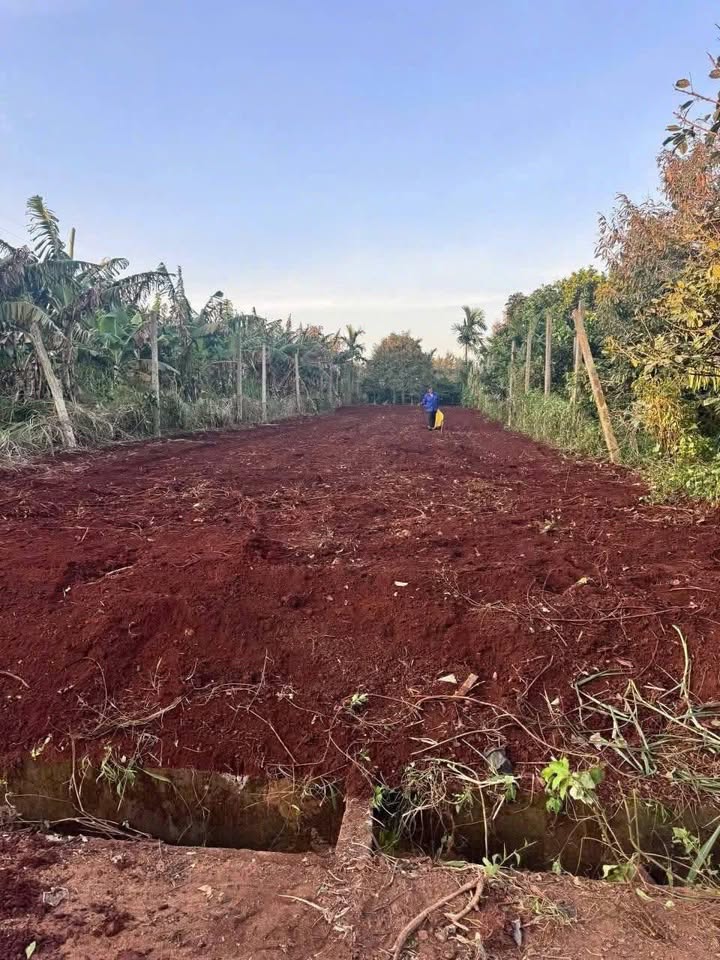 Đất mặt tiền Hoàng Quốc Việt, Đoàn Kết, Buôn Hồ 459m² - Giá chỉ 285 triệu!