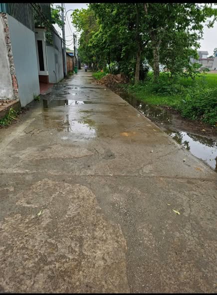 Đất nền Thụy Lâm 50m² giá thương lượng - Tiềm năng sinh lời cao!