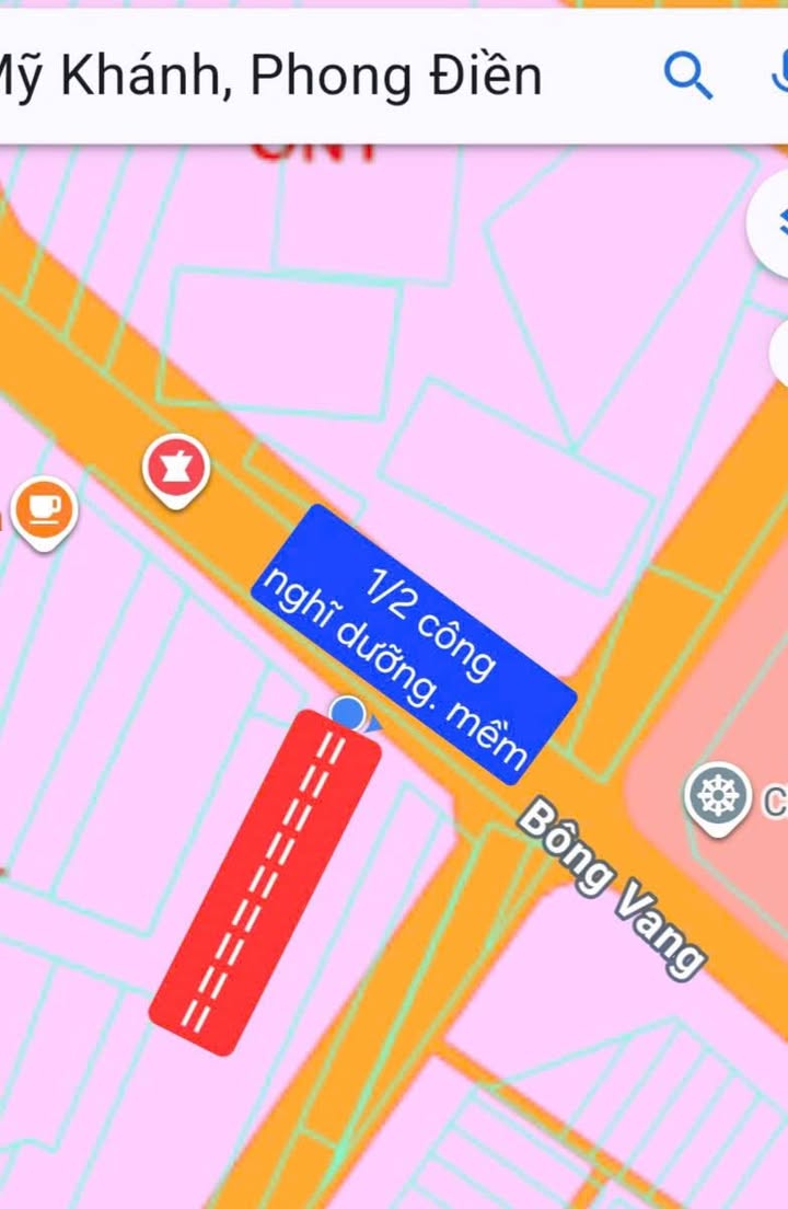 Farm tiềm năng tại Mỹ Khánh, Phong Điền 500m² - Đầu tư sinh lời ngay!