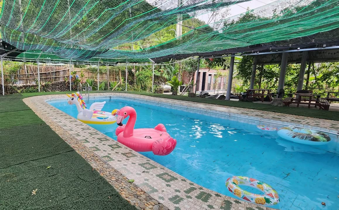 Farm 2000m² tại Hòa Bắc Đà Nẵng giá 12 tỷ - Cơ hội đầu tư hấp dẫn!