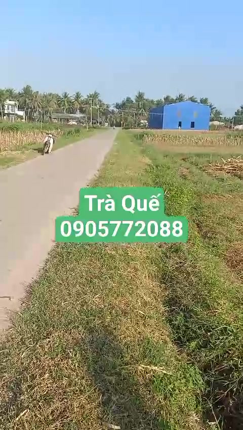 Đất trồng cây hàng năm Hoài Phú 400m² giá 100 triệu - Đường 2 mặt tiền thuận lợi!