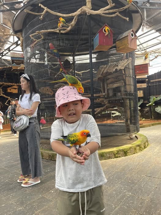 Đất nền Hưng Phú, Tiền Hải 120m² giá 700 triệu - Đầu tư sinh lời ngay!