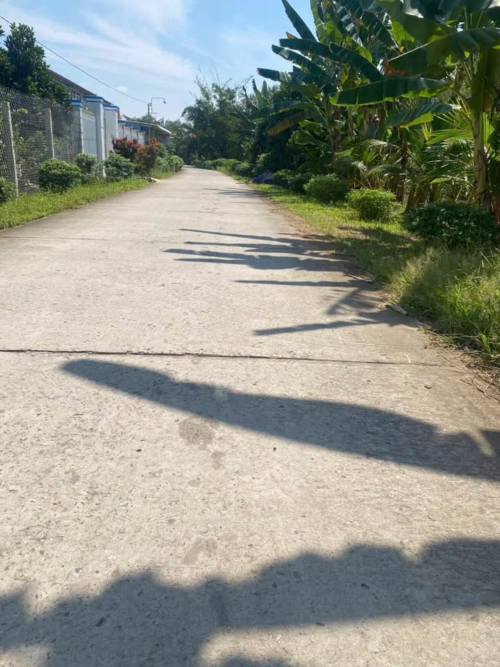 Đất nền đẹp Cái Vồn, Vĩnh Long 130m² giá chỉ 459 triệu - Đầu tư tiềm năng!