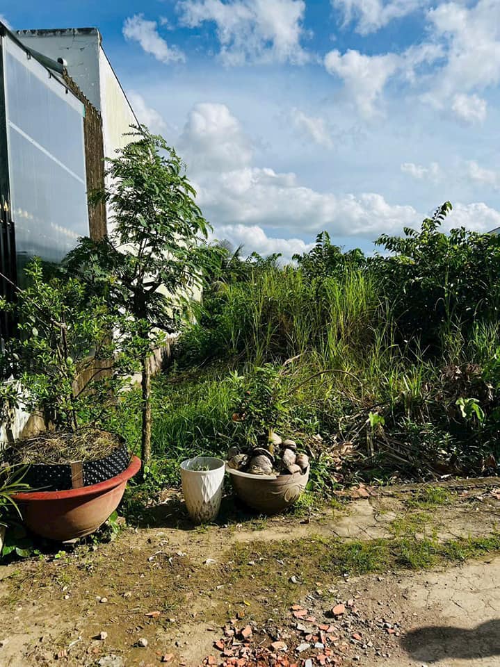 Đất nền chính chủ Bình Phó A, Quận Bình Thủy 98,4m² - Sổ đỏ thổ cư 100%!