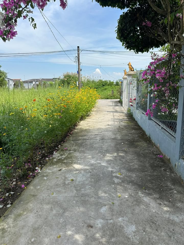 Đất nền Sơn Qui B, Tân Trung, Gò Công 139m² giá 420 triệu - Cơ hội đầu tư hấp dẫn!