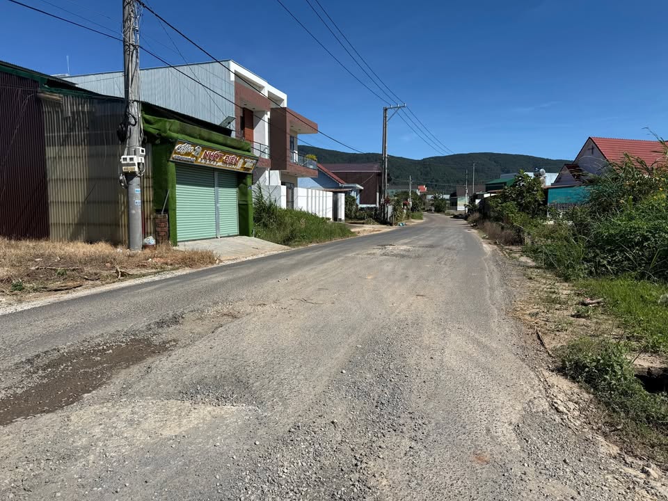 Đất thổ cư Nguyễn Chí Thanh, Đơn Dương 277m² giá 2.6 tỷ - View rừng thông trong lành!