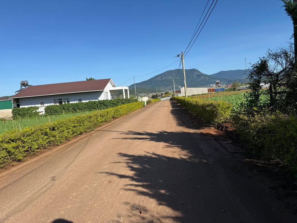 Đất Bồng Lai, Đức Trọng 182m² giá 1.05 tỷ - Sổ đỏ chính chủ, pháp lý rõ ràng!