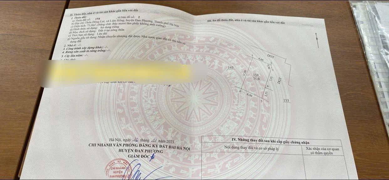 Đất phân lô 75m² thôn Đông Lai, Liên Hồng - Giá chỉ 6x triệu/m², đầu tư ngay!