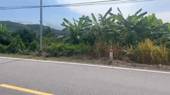 Đất thổ cư 120m² tại Nam Dương, Lục Ngạn - Giá rẻ nhất khu vực!