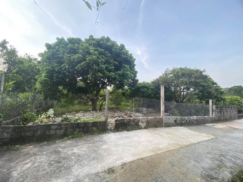 Đất thổ cư Nhân Chính Lý Nhân 446m² giá 1 tỷ - Cơ hội đầu tư tuyệt vời!