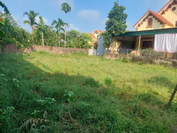 Đất thổ cư Hồng Nam, Hưng Yên 299m² giá 3 tỷ - Cơ hội đầu tư hấp dẫn!