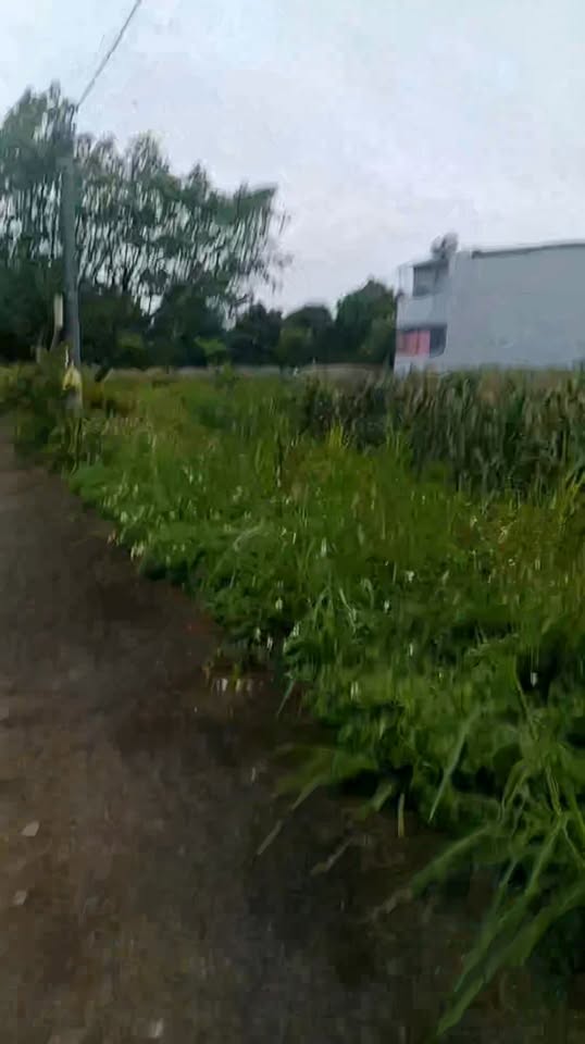 Đất nền Tân Bình, Tam Điệp 200m² - Đầu tư sinh lời ngay hôm nay!