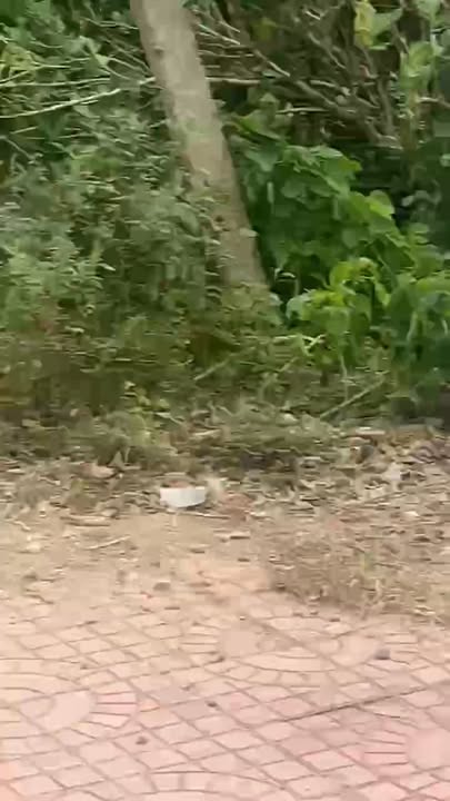 Đất thổ cư 200m² thôn Thạnh Lâm, Phú Hòa - Khu dân cư sầm uất, giá chỉ 1.3 tỷ!