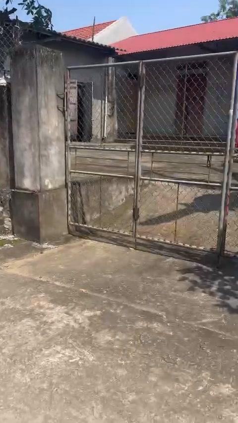 Đất thổ cư Nho Quan 140m² giá 700 triệu - Đường thông, tiện ích đầy đủ!