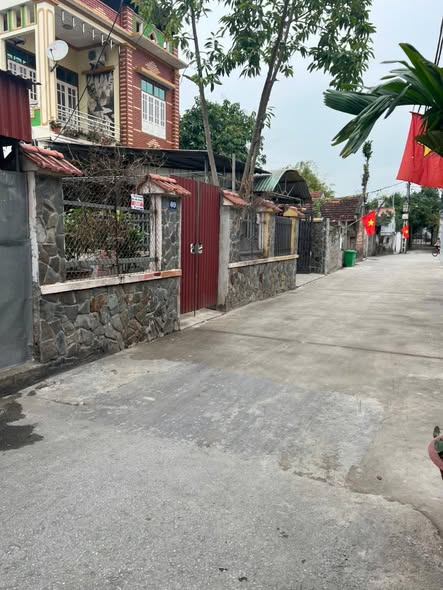 Đất Lâm Xuyên Tam Hồng Yên Lạc 193m² giá 3 tỷ - Đầu tư sinh lời ngay!