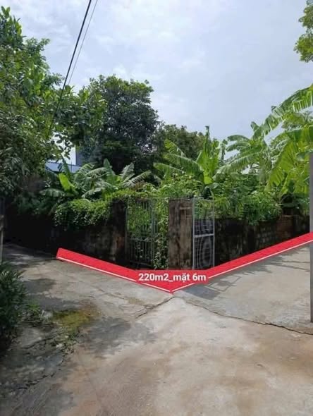 Đất nền chính chủ xã An Ninh 220m² - Mặt tiền 5.6m, giá thỏa thuận!