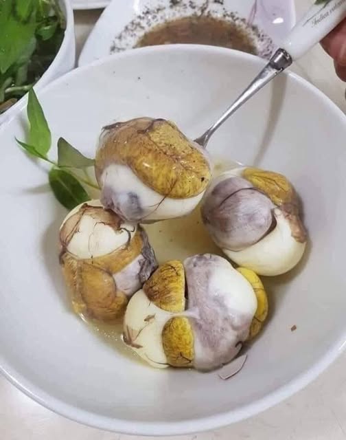 Đất nền Thôn Tam Lạc, Vũ Lạc 196m² giá chỉ 1 tỷ - Cơ hội đầu tư vàng!