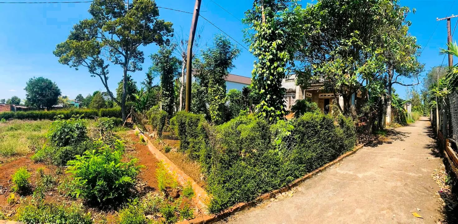 Đất thổ cư Hòa Thắng Buôn Ma Thuột 125m² giá 700 triệu - Đầu tư sinh lời ngay!