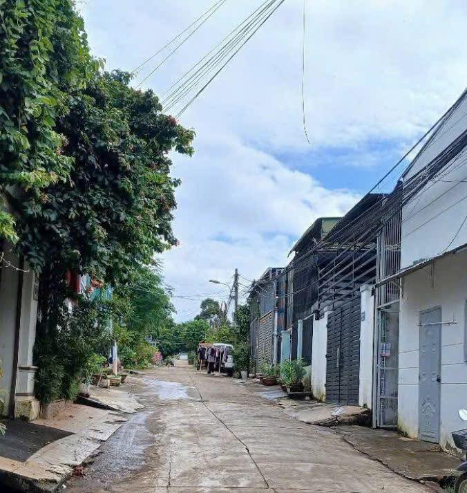 Đất nền Hẻm 160 Y Moan, Tân Lợi, 115m² giá 3 tỷ - Vị trí đắc địa gần trung tâm!