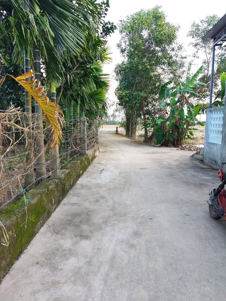 Đất nền Quảng Phú, Quảng Điền 110m² giá 350 triệu - Cơ hội đầu tư tuyệt vời!