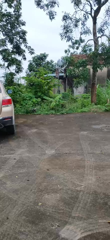 Đất nền Hương Mai, Việt Yên 412,5m² chỉ 2,1 tỷ - Đầu tư sinh lời ngay!