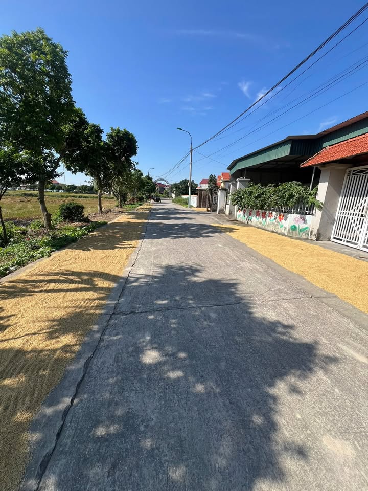 Đất nền Tân Việt Đông Triều 892m² giá chỉ 4.46 tỷ - Cần bán gấp!