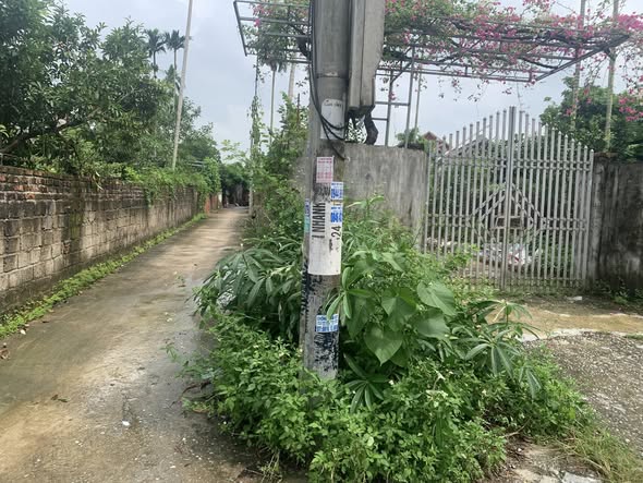 Đất nền Trung Lập Vĩnh Bảo 174m² giá 2 tỷ - Cơ hội đầu tư không thể bỏ lỡ!