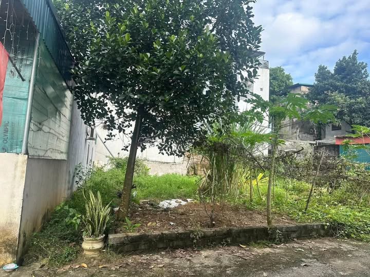 Đất nền Hòa Bình 90m² giá 800 triệu - Vị trí trung tâm thuận lợi!