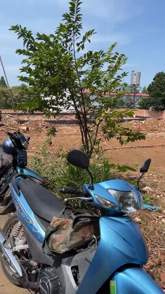 Đất thổ cư Sông Trầu, Trảng Bom 100m² - Gần trường mầm non Ánh Sao!