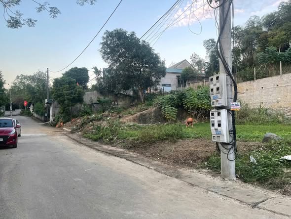 Đất nền mặt tiền đường Ngọc Hân, phường Dân Chủ, 350m² - Giá chỉ 1.2 tỷ!