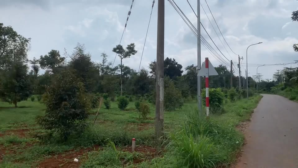 Đất thổ cư Bàu Chinh 80m² giá 500-600 triệu - Chốt nhanh lô đẹp!