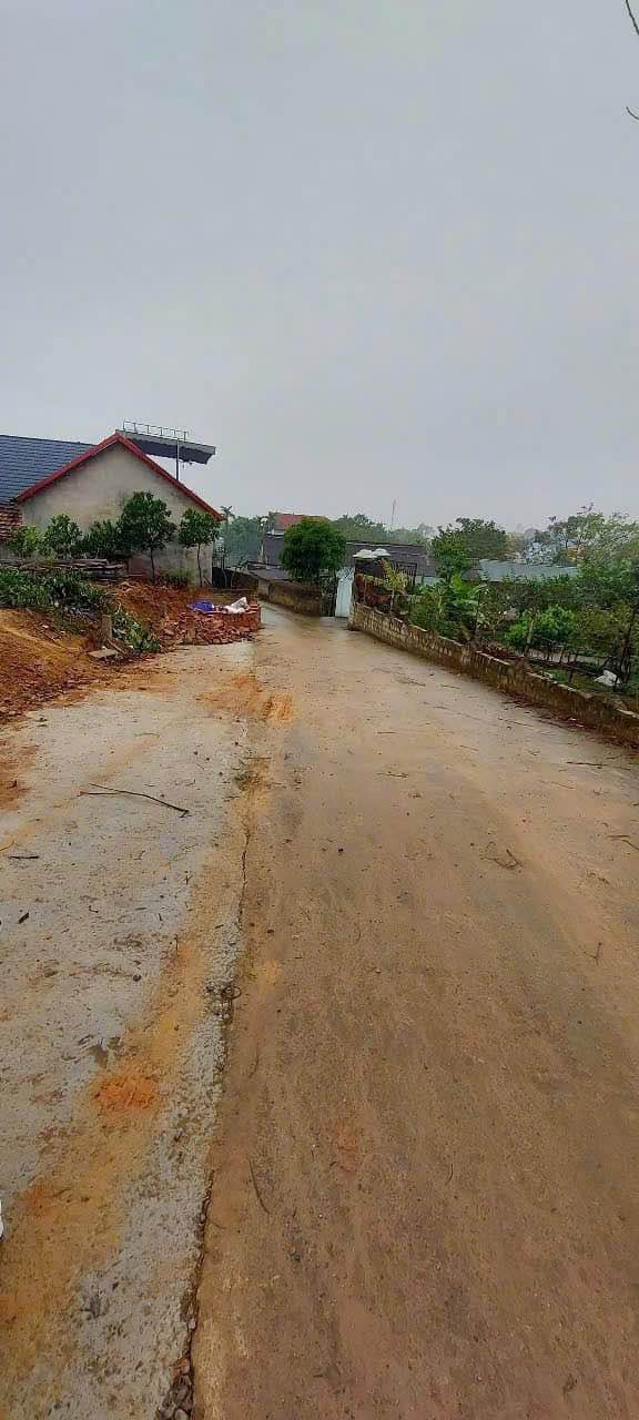 Đất thổ cư 134m² tại Thôn Tự Do, Tam Dương chỉ 500 triệu - Đầu tư sinh lời ngay!