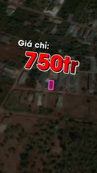 Đất nền Tân Lợi 80m² giá chỉ 750 triệu - Cơ hội vàng cho nhà đầu tư!