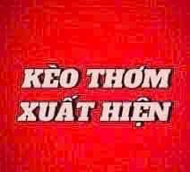 Nhà riêng Tân Quý, Tân Phú 13m² giá 4.75 tỷ - Hẻm ô tô vào tận nhà!