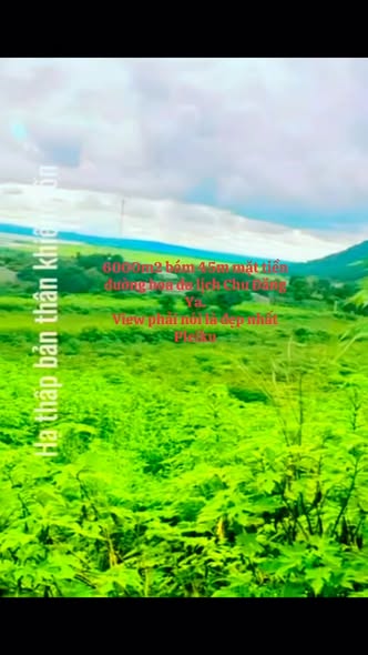 Bán đất khu du lịch Chư Đăng Ya - Biển Hồ 6000m² giá từ 540 triệu - Cơ hội đầu tư hấp dẫn!