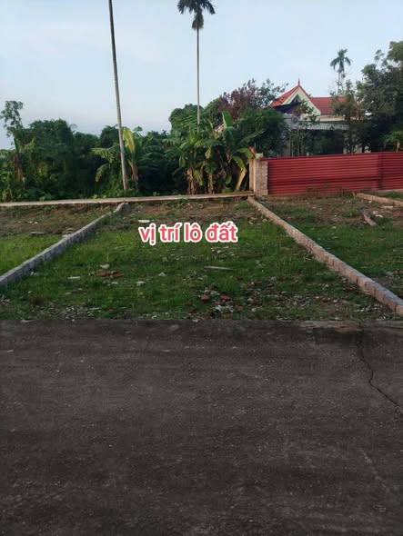 Đất nền Hoa Động Thủy Nguyên 65.6m² giá 1.3 tỷ - Ô tô vào tận nơi!