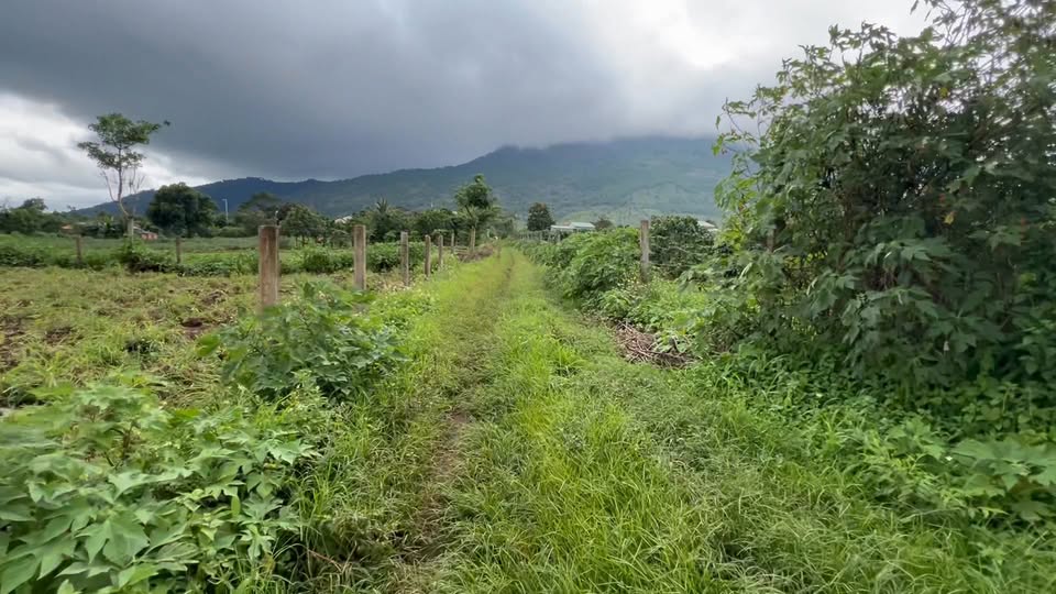 Đất nền Chư Đăng Ya 1875m² giá 2.25 tỷ - Cơ hội đầu tư hấp dẫn!