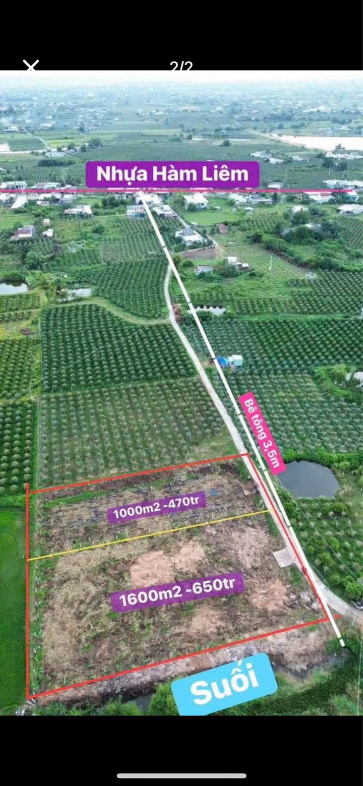 Đất nền 1600m² mặt tiền Bê Tông Hàm Liêm - Giá đầu tư hấp dẫn!