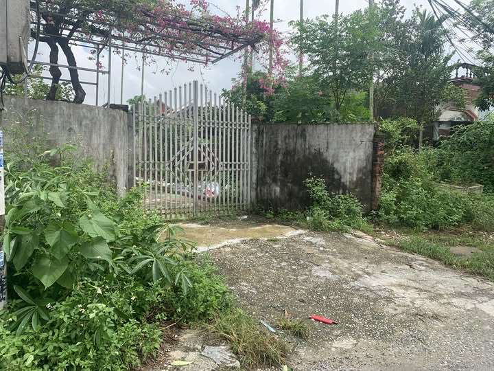 Đất nền Trung Lập Vĩnh Bảo 174m² giá 2 tỷ - Lô góc 2 mặt tiền vị trí đẹp!