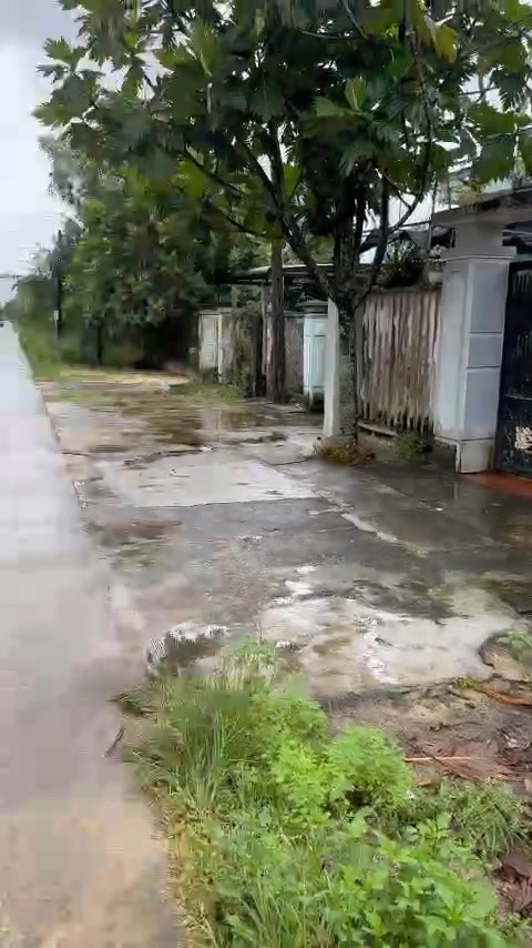 Bán lô đất Bầu Chuốc, Bình Sơn, Quảng Ngãi 100m² - Nhà vườn lý tưởng!