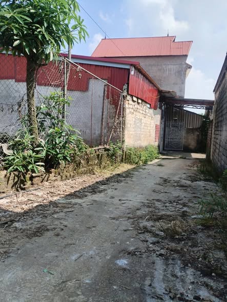 Đất nền thôn Đông, xã Hiệp Hòa, Bắc Giang 100m² chỉ 400 triệu - Cơ hội đầu tư tuyệt vời!