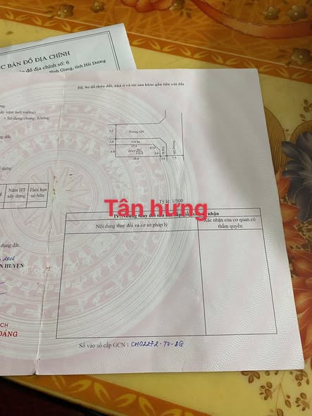 Đất nền Tân Hưng Tân Việt 115m² giá thương lượng - Mặt tiền kinh doanh sầm uất!