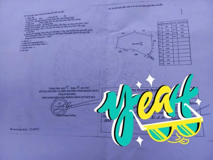 Đất thổ cư Châu Ổ, Bình Sơn 375m² giá 850 triệu - Vị trí cao, không ngập lụt!