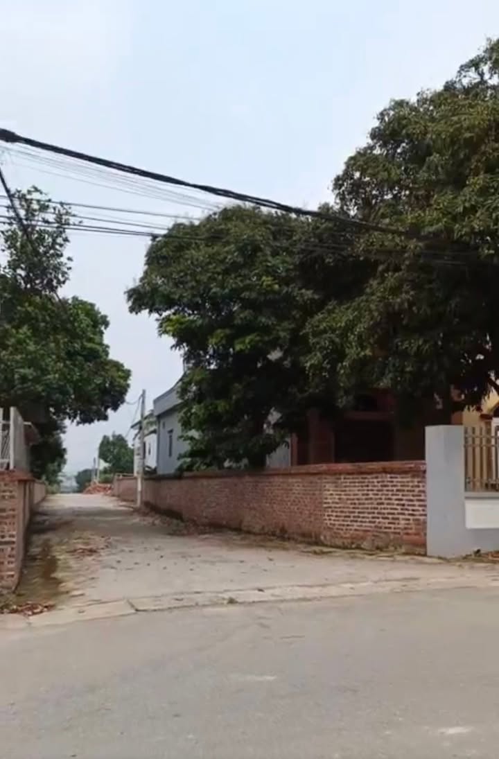 Đất thổ cư Cộng Hòa, Chí Linh 125m² - Giá hấp dẫn, sổ đỏ chính chủ!