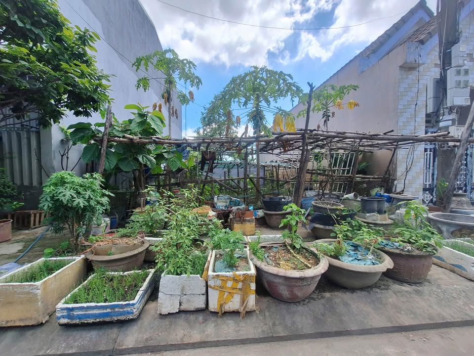 Đất nền Tam Kỳ 114m² giá 1.9 tỷ - Đầu tư sinh lời ngay!