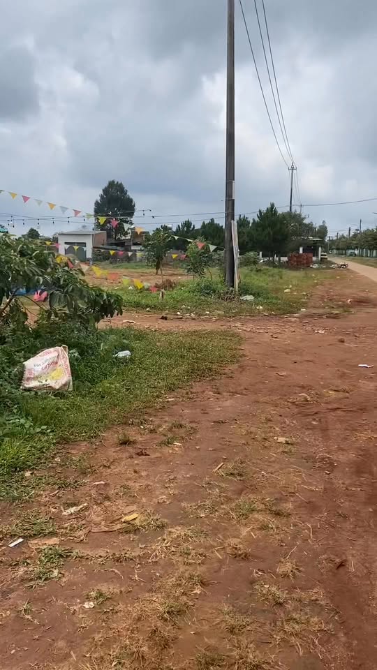 Đất nền mặt tiền Hàn Mạc Tử 115m² giá 1 tỷ - Cơ hội đầu tư tuyệt vời!