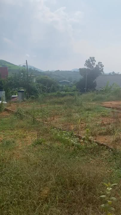 Đất nền Khu Mịn 2, Minh Đài 144,5m² giá chỉ 300 triệu - View đồi chè tuyệt đẹp!