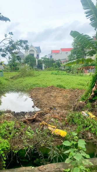 Townhouse Đồng Minh Vĩnh Phúc 240m² giá thỏa thuận - Đầu tư sinh lời bền vững!